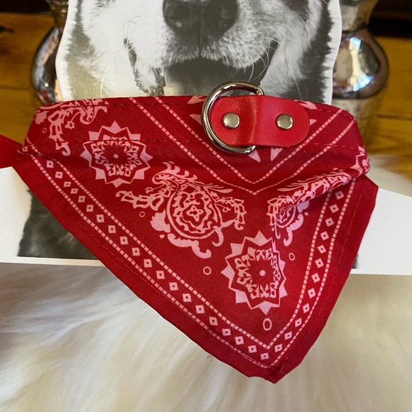 I Am Jewerly Dog Collar Bandana Print - Picture 3 of 5